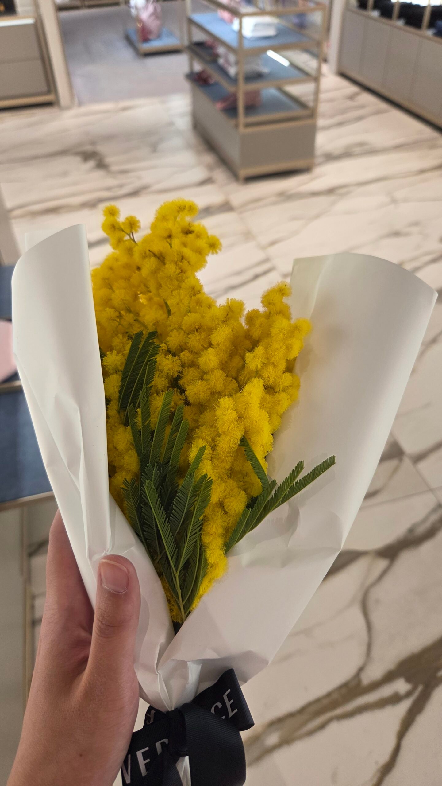 Bouquet of mimosa flowers wrapped with a Versace ribbon, given as a Women's Day gift inside the Versace store