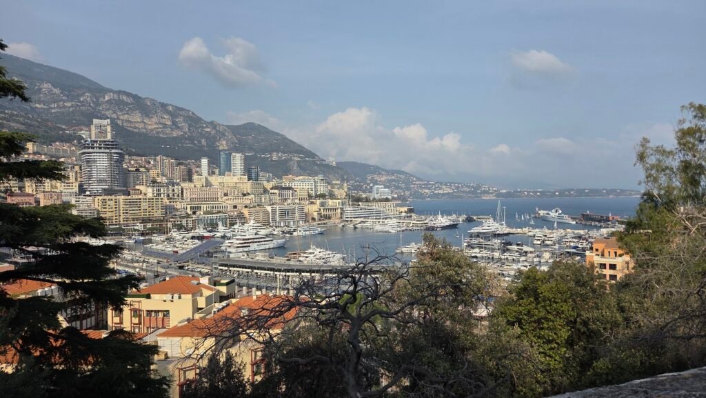 Port Hercule and Monaco's hillside skyline from Terrasse du Palais, the highlight of any Monaco day trip