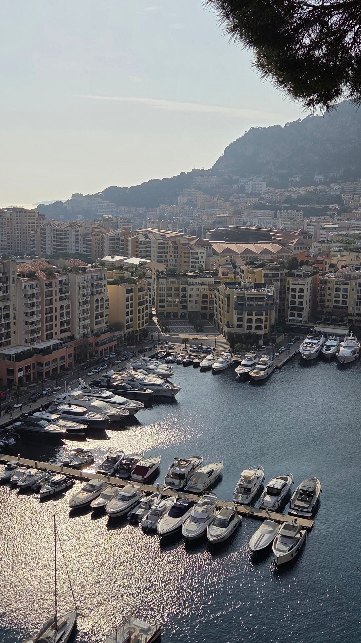 View of Fontvieille marina and apartment towers from the Port of Fontvieille viewpoint in Monaco