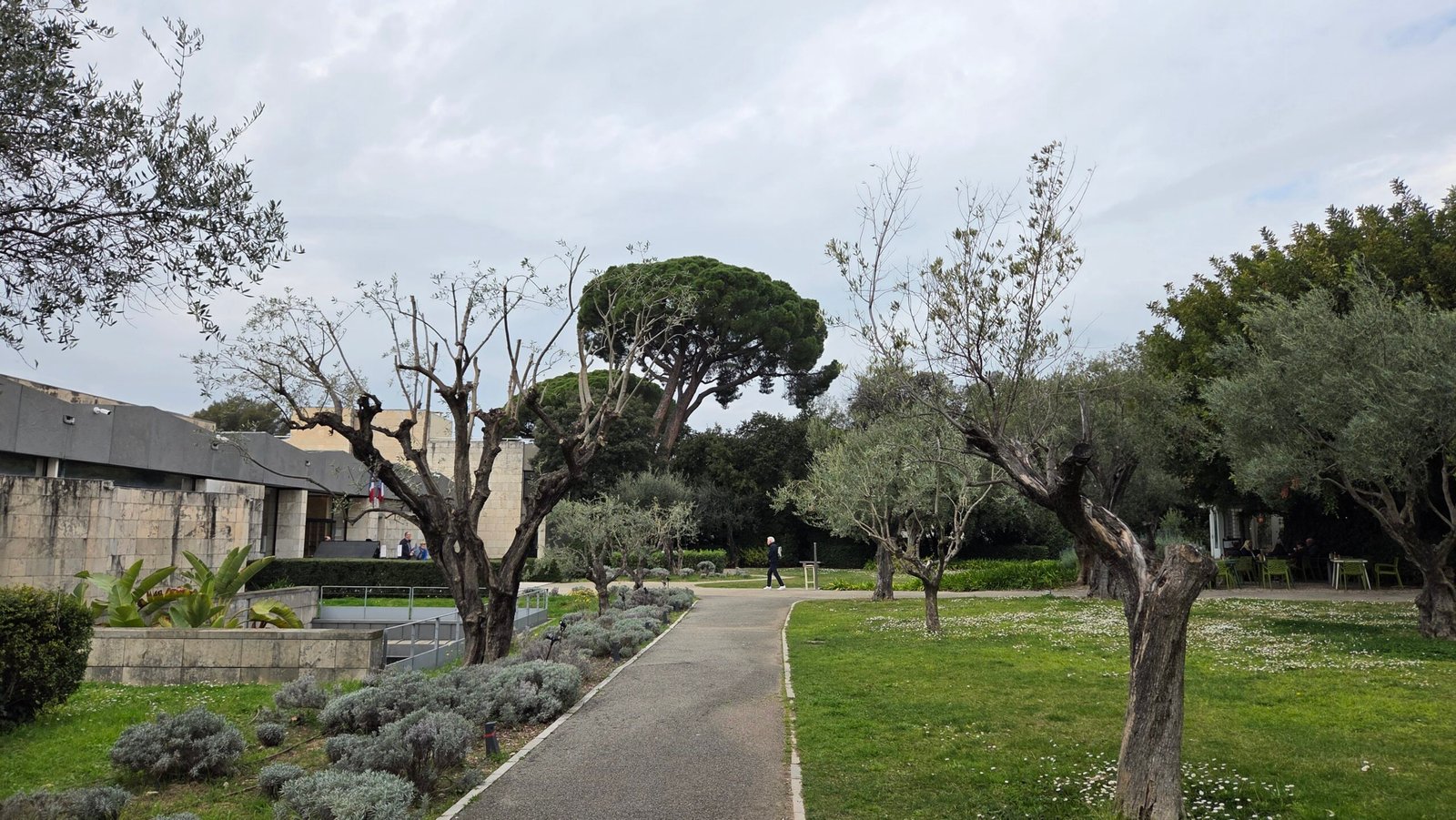 Musee national Marc Chagall building seen across its garden of olive trees
